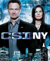 Место преступления: Нью-Йорк 9 сезон